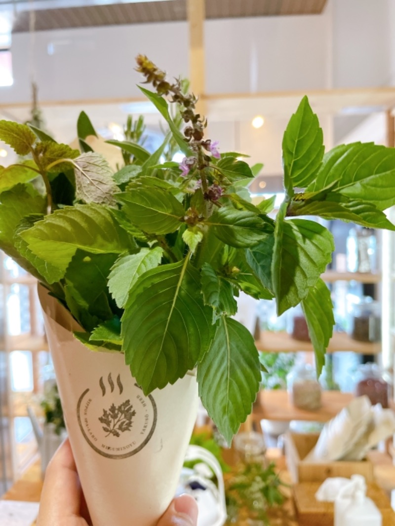 yukkejean17さんの岐阜各務原 恵みの湯のサ活写真