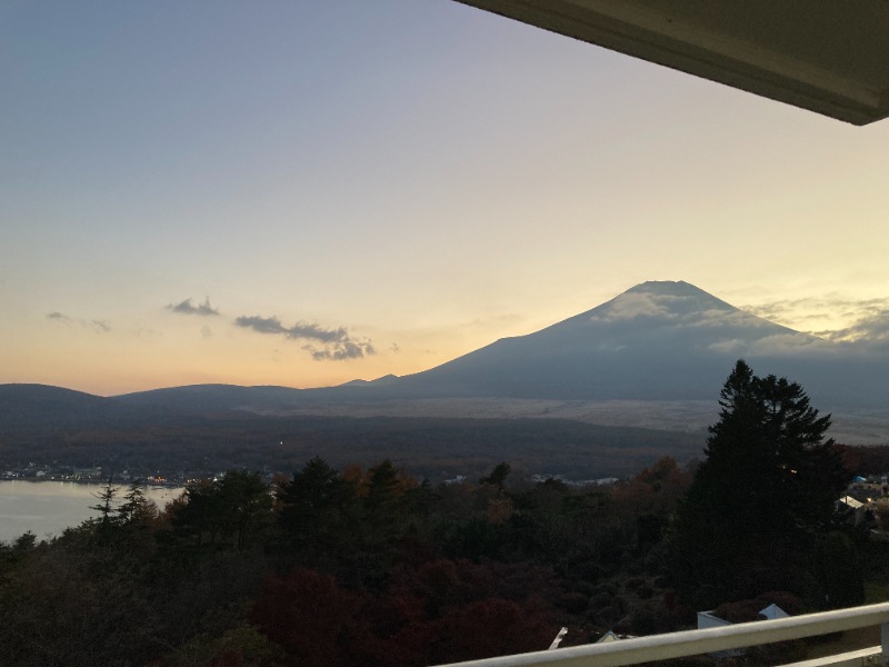 🌿よもぎすきすぎ🌿さんのホテルマウント富士のサ活写真