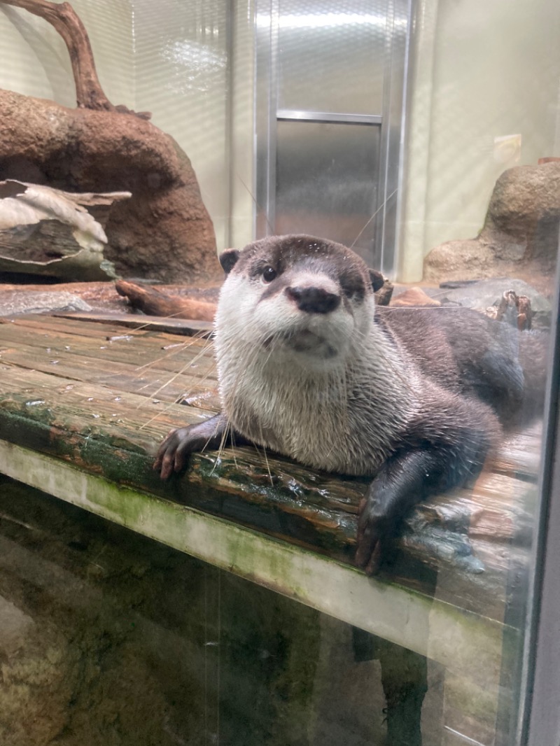 ジェームスさんの汗蒸幕のゆのサ活写真