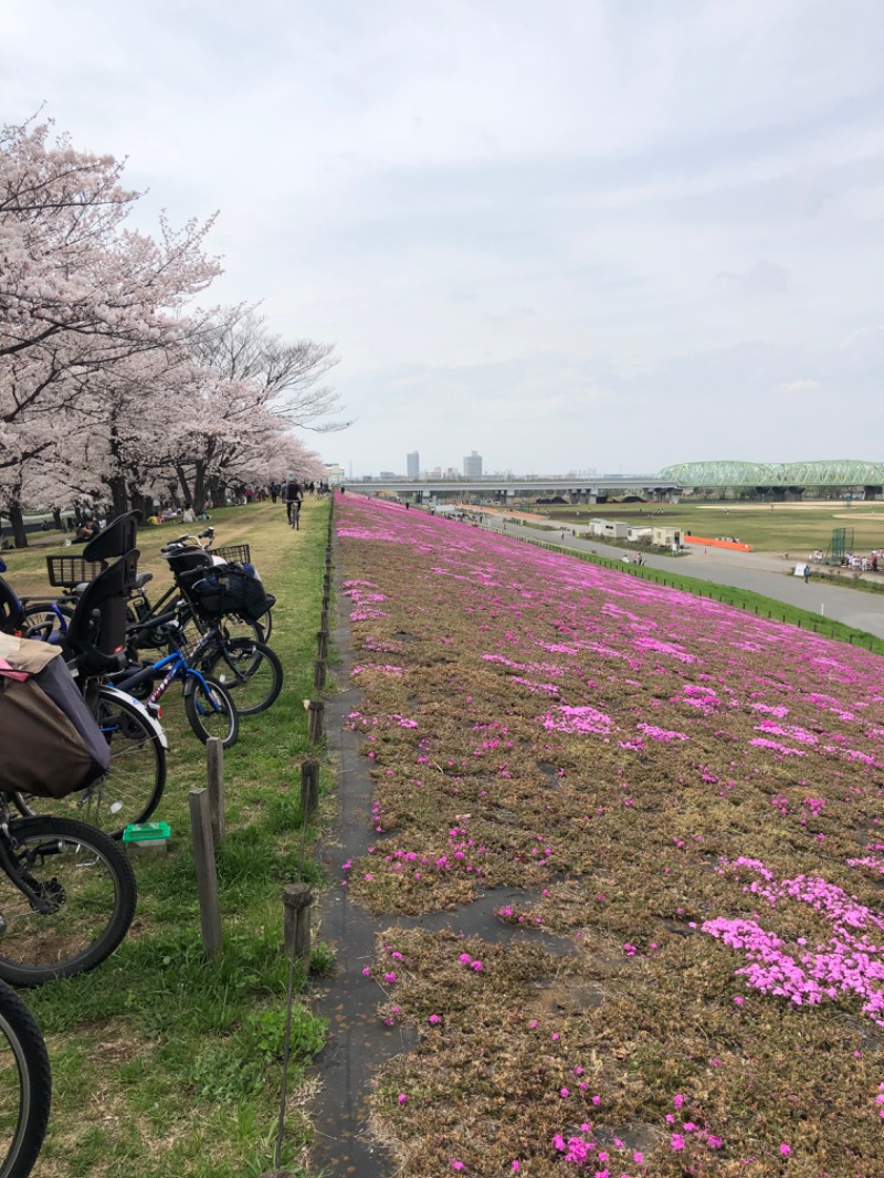 すーたさんのカプセルホテル&サウナ コスモプラザ赤羽のサ活写真