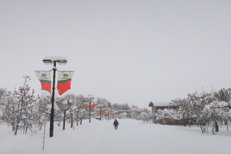 Mazo Itohさんの板柳町ふるさとセンター 青柳館 ふるさと温泉のサ活写真
