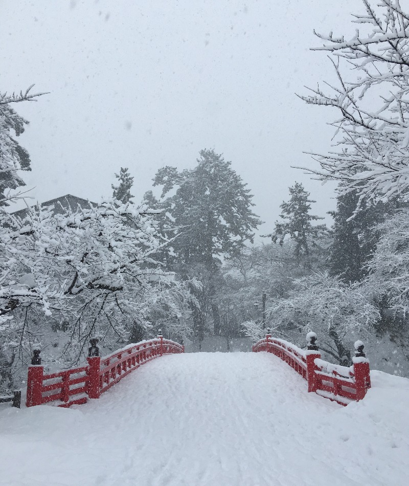 Mazo Itohさんの岩木桜の湯 ドーミーイン弘前のサ活写真