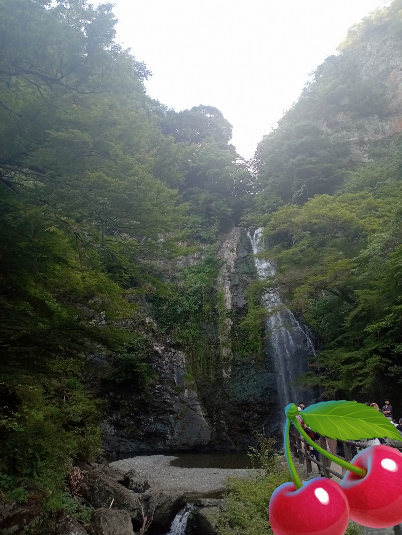 かっしーcさんの大江戸温泉物語 箕面温泉スパーガーデン (箕面観光ホテル)のサ活写真