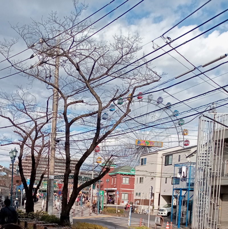 かっしーcさんのユートピア白玉温泉のサ活写真