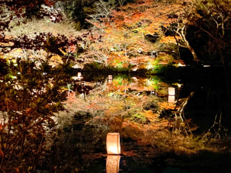 蒸し兄さんの御船山楽園ホテル  らかんの湯のサ活写真