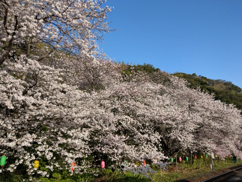 えーきち。さんの湯処あらたえ 小松島店のサ活写真