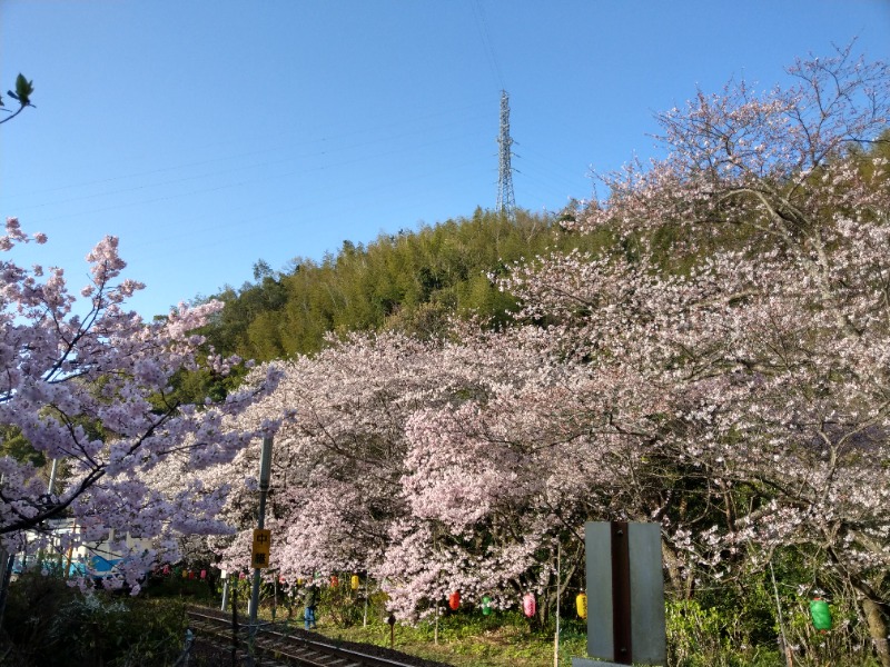 えーきち。さんの湯処あらたえ 小松島店のサ活写真