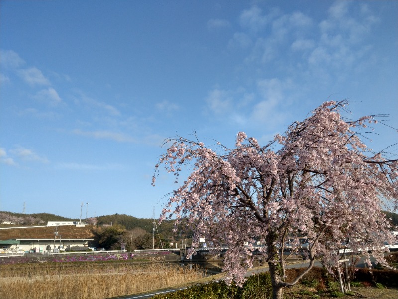 えーきち。さんの湯処あらたえ 小松島店のサ活写真