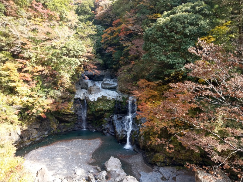 えーきち。さんの四季美谷温泉のサ活写真