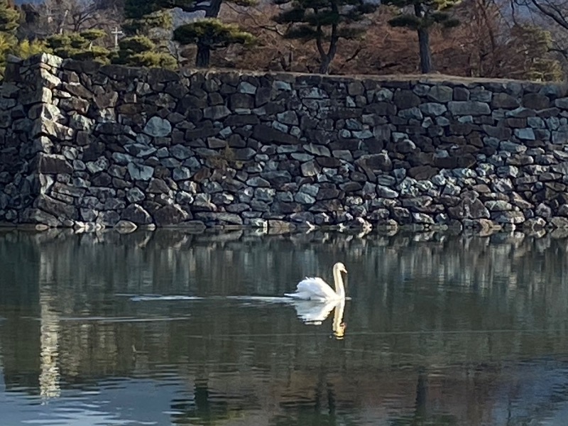 温泉道楽/食道楽/飲道楽NYさんの信州健康ランドのサ活写真