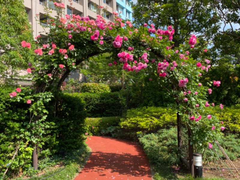 温泉道楽/食道楽/飲道楽NYさんのフィットネス&スパNASリバーシティ21のサ活写真