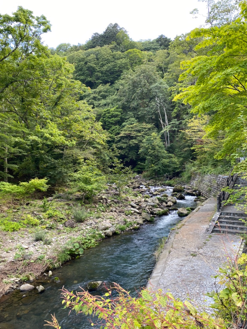 温泉道楽/食道楽/飲道楽NYさんのフィットネス&スパNASリバーシティ21のサ活写真