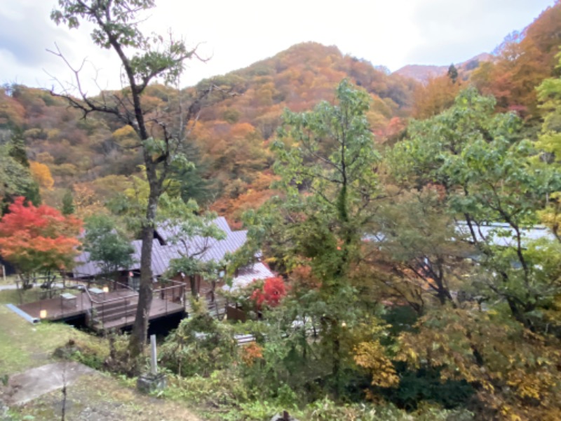 温泉道楽/食道楽/飲道楽NYさんのフィットネス&スパNASリバーシティ21のサ活写真