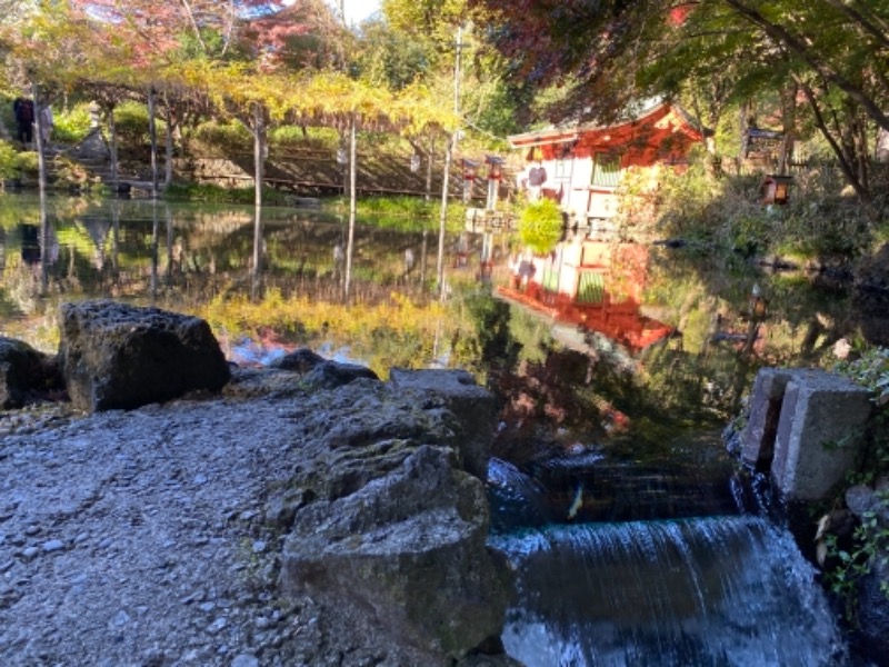 温泉道楽/食道楽/飲道楽NYさんの富嶽温泉 花の湯のサ活写真