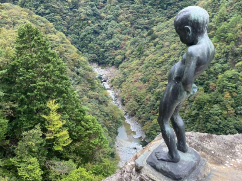 温泉道楽/食道楽/飲道楽NYさんの紺碧の湯 ドーミーイン高知のサ活写真