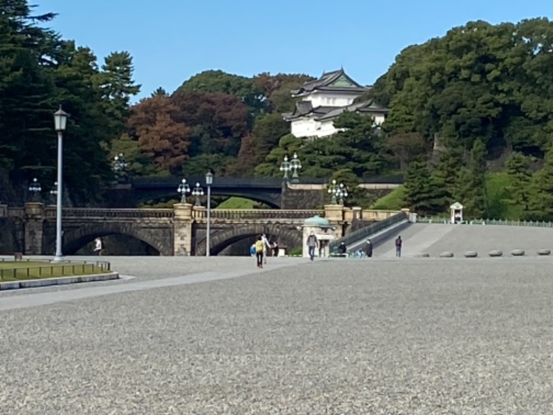 温泉道楽/食道楽/飲道楽NYさんの帝国ホテル東京のサ活写真