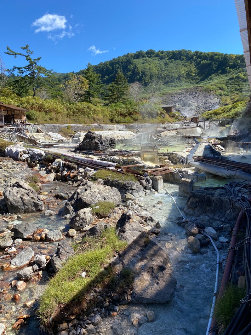 温泉道楽/食道楽/飲道楽NYさんの玉川温泉のサ活写真