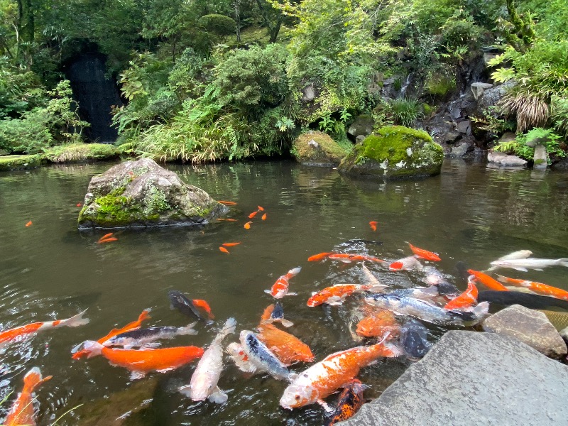 温泉道楽/食道楽/飲道楽NYさんの富士屋ホテルのサ活写真