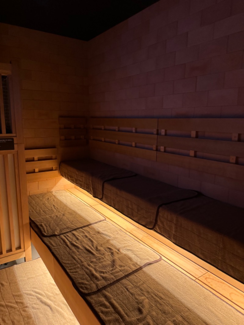 ジョースターさんの天然温泉 つつじの湯 ドーミーインEXPRESS豊橋のサ活写真