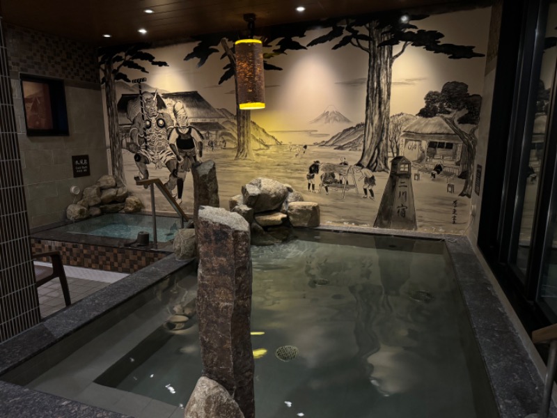 ジョースターさんの天然温泉 つつじの湯 ドーミーインEXPRESS豊橋のサ活写真