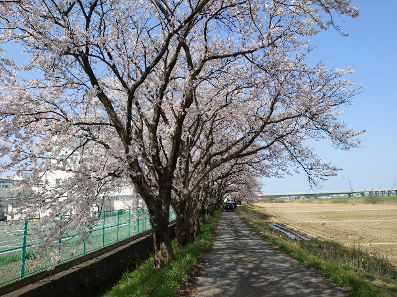 hanafujiさんのセントピアあわらのサ活写真