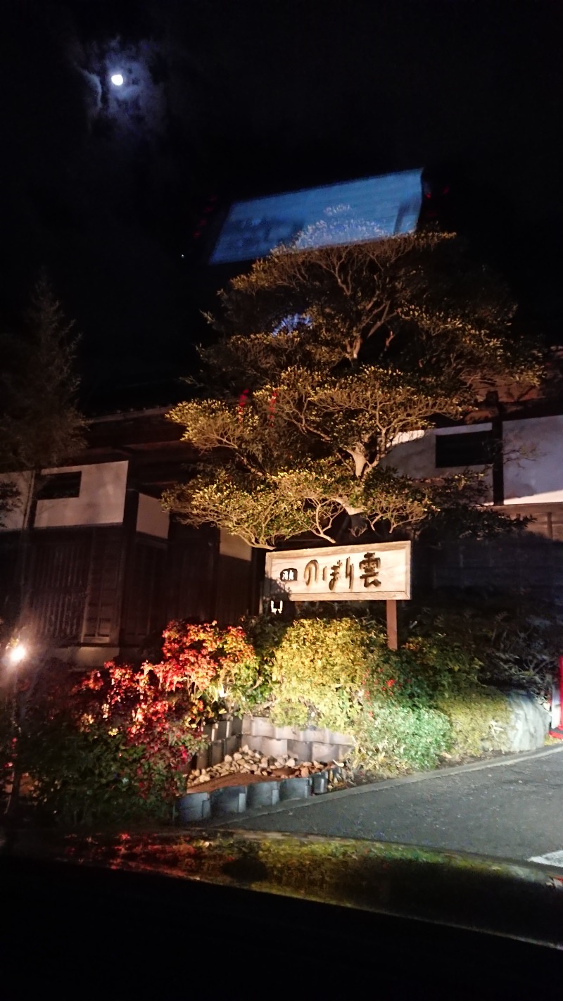 UｰGさんの佐野天然温泉 湯処 のぼり雲のサ活写真