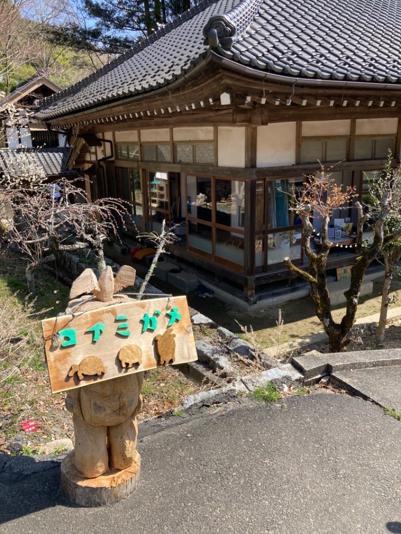 かなさんのコアミガメのサ活写真