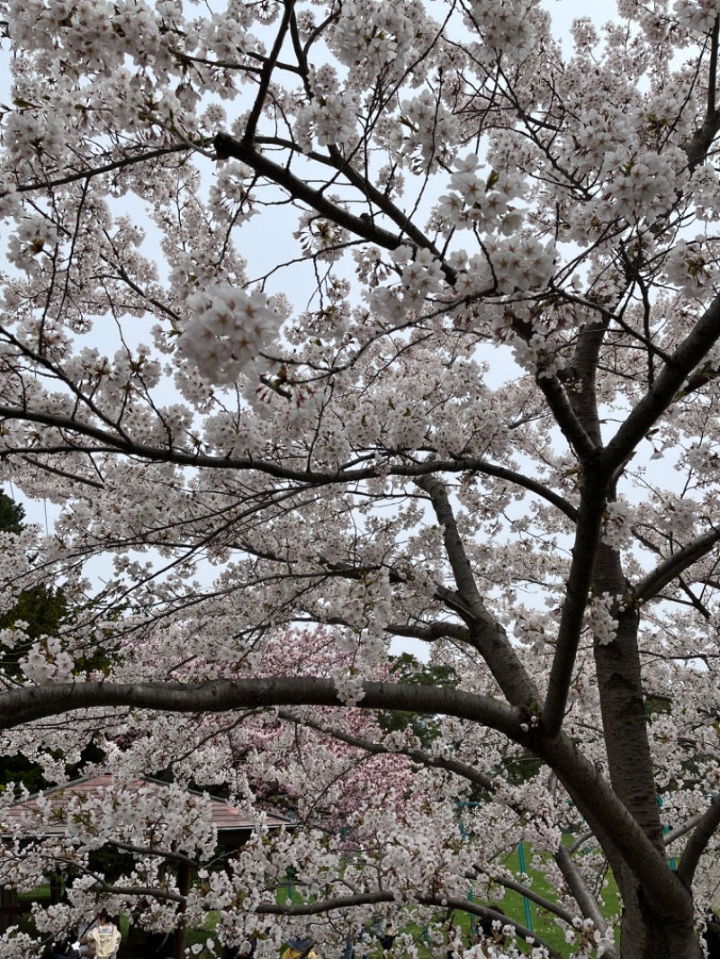 しぶちさんのホテルポールスター札幌のサ活写真