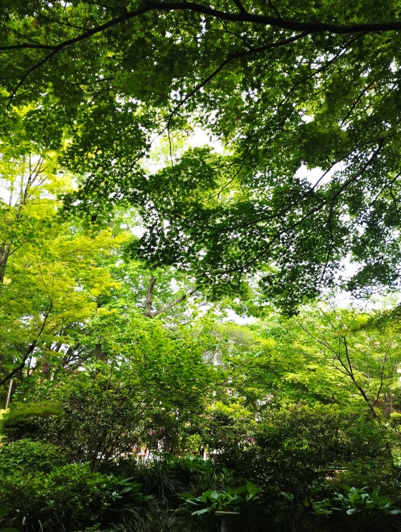 へむさんの豊島園 庭の湯のサ活写真