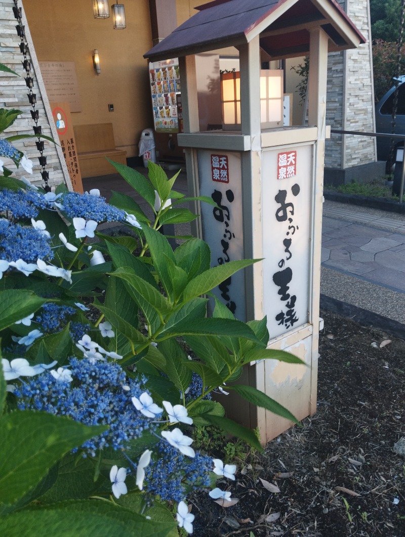 へむさんのおふろの王様 花小金井店のサ活写真