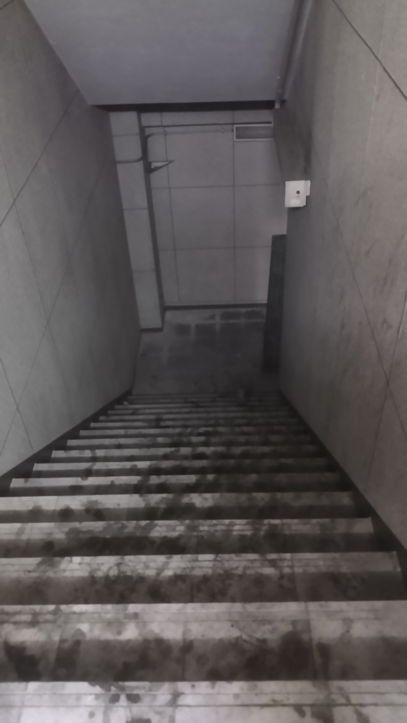 HEmingさんのノーベルのサ活写真