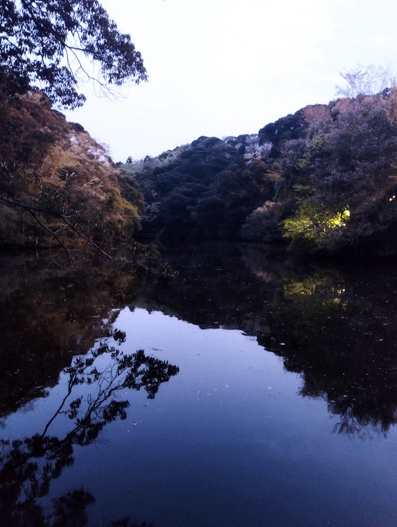 へむさんのつま恋リゾート彩の郷 森林の湯のサ活写真