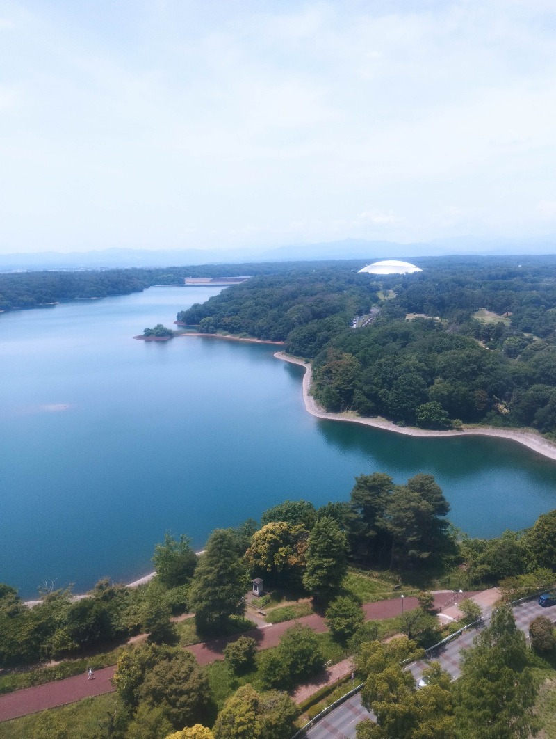 へむさんの中国割烹旅館 掬水亭 狭山の茶湯のサ活写真