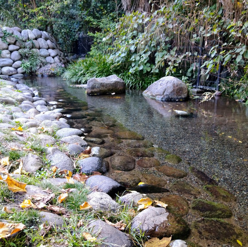 オレンジさんの大蔵湯のサ活写真