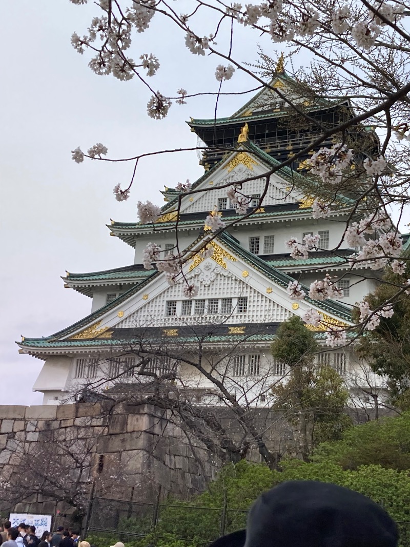 かつひささんの湯元花乃井スーパーホテル大阪天然温泉のサ活写真