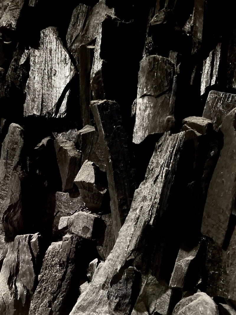 かつひささんの古戦場のサ活写真