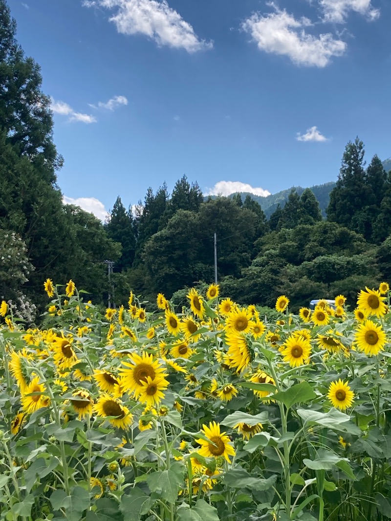 かつひささんのラ・フランス温泉館のサ活写真