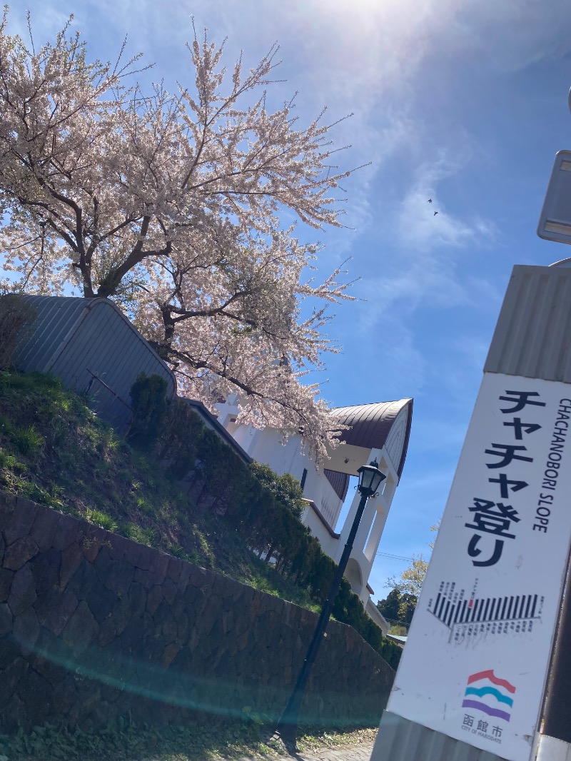 かつひささんの花びしホテルのサ活写真