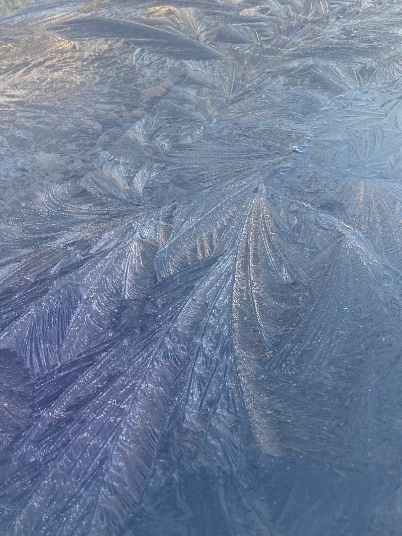 かつひささんのゆ〜とぴあ仙台南のサ活写真