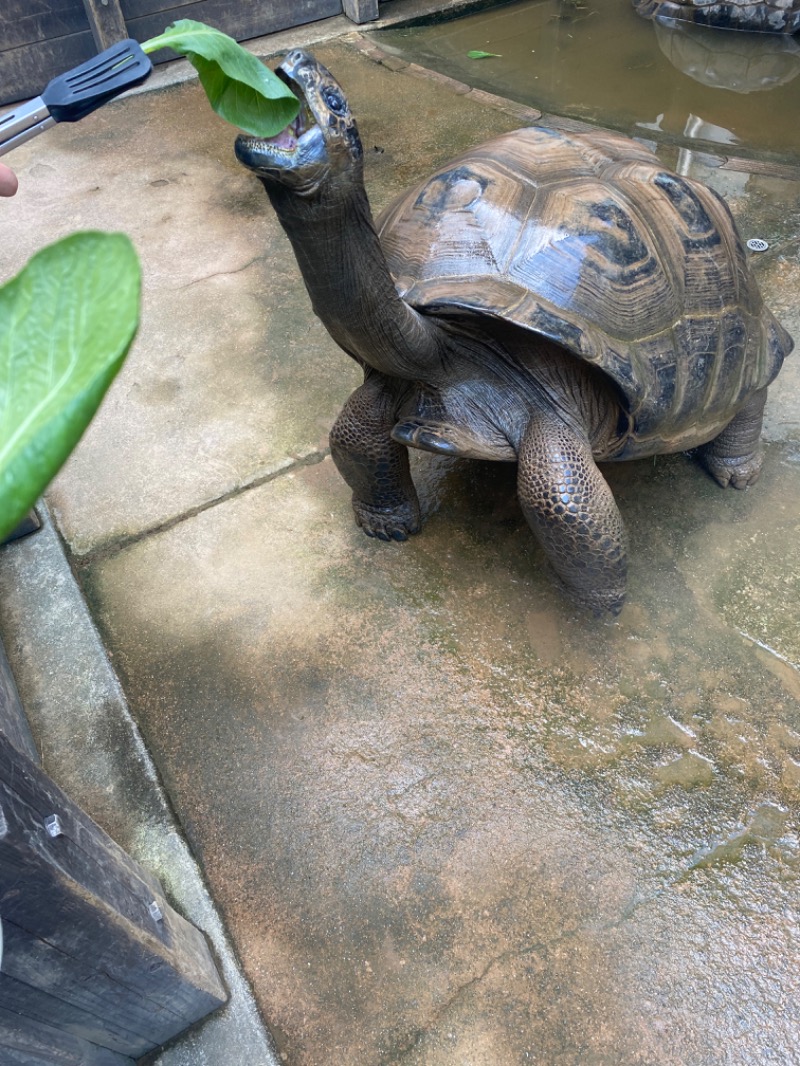 ととのL子さんのぎなん温泉のサ活写真