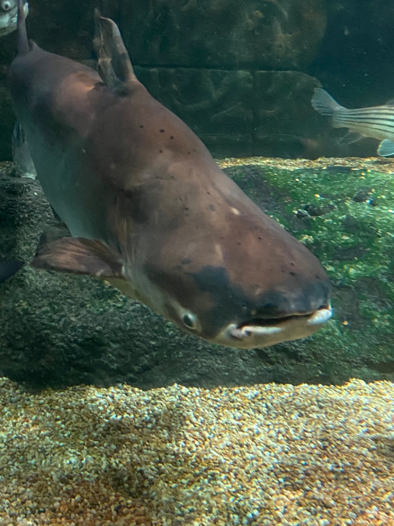 ととのL子さんのぎなん温泉のサ活写真