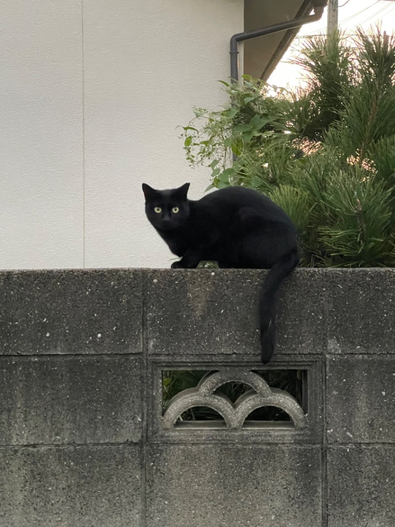 紅鮭さんの新開温泉のサ活写真