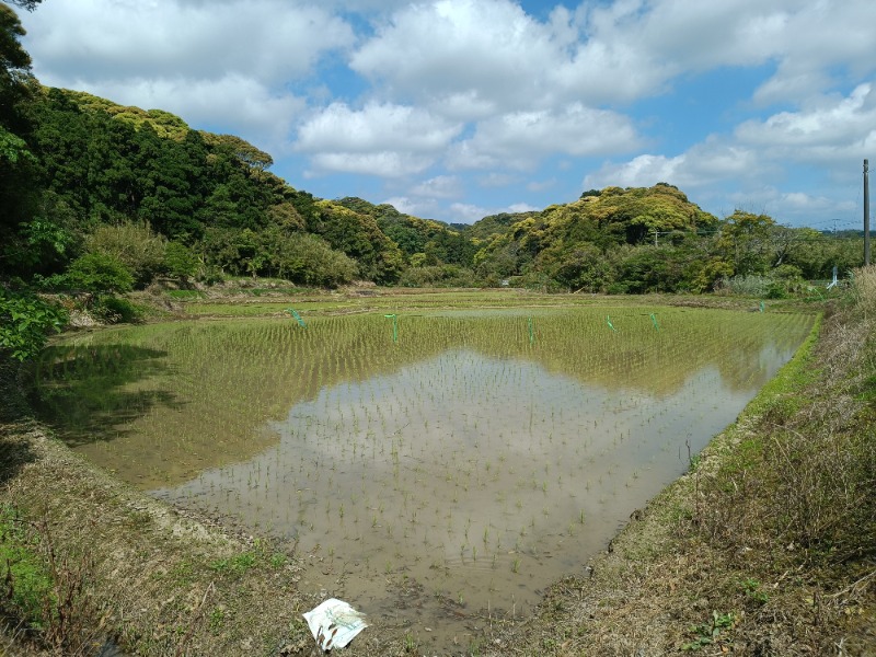 なおとさんの南種子町河内温泉センターのサ活写真