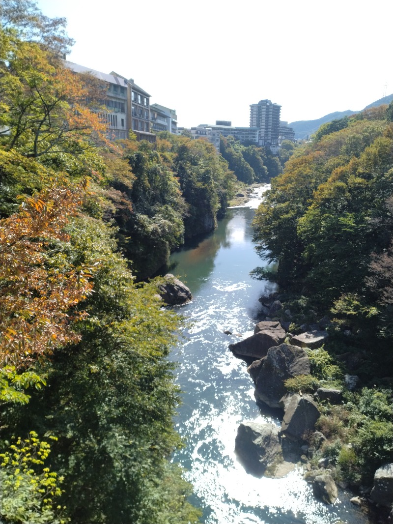 hiromi(葛西橋サウナクラブ事務局)さんの鬼怒川観光ホテルのサ活写真