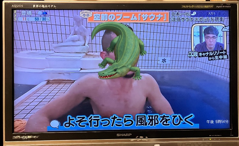 ぱかぱかさんの玉の湯のサ活写真