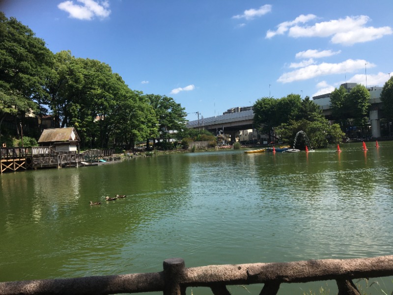 尾形直人さんの板橋天然温泉 スパディオのサ活写真