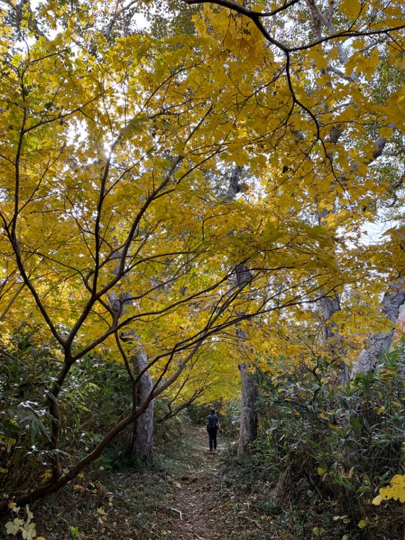 みきっきさんさんの定山渓温泉 湯の花のサ活写真