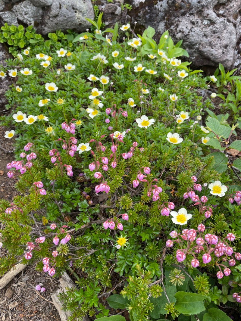 みきっきさんさんの吹上温泉保養センター 白銀荘のサ活写真