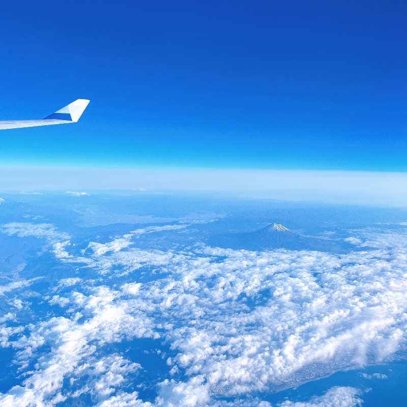 みゃーびさんの天然温泉 泉天空の湯 羽田空港のサ活写真