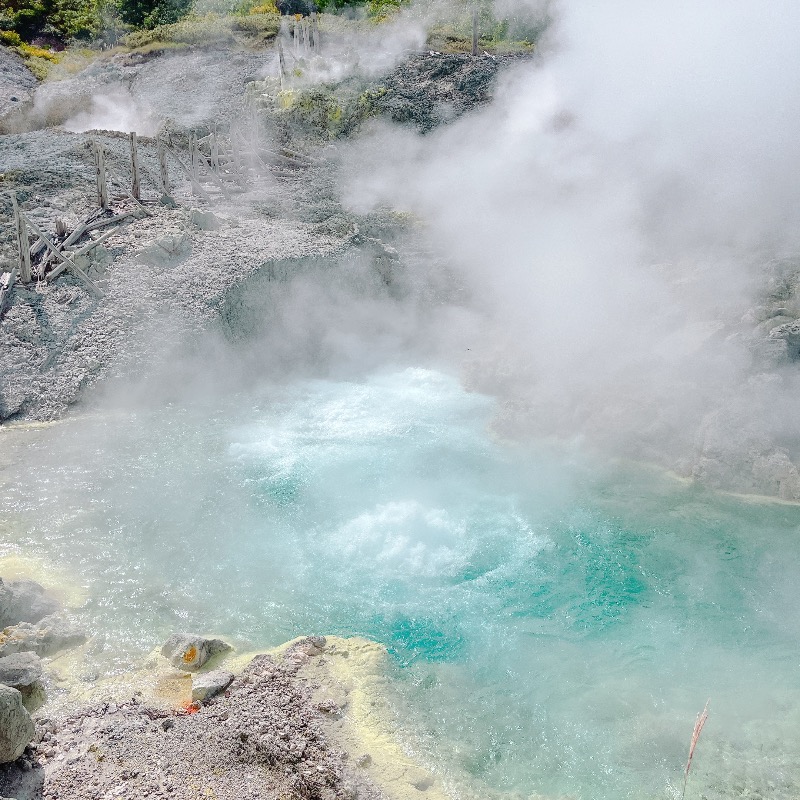 みゃーびさんの新玉川温泉のサ活写真